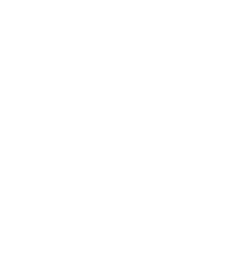 RiskPerú